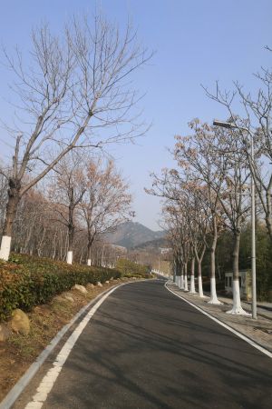 微信图片_20201202100529